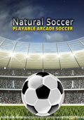 自然足球PC版