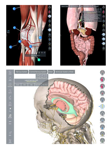 Essential Anatomy 5 iphone/ipad
